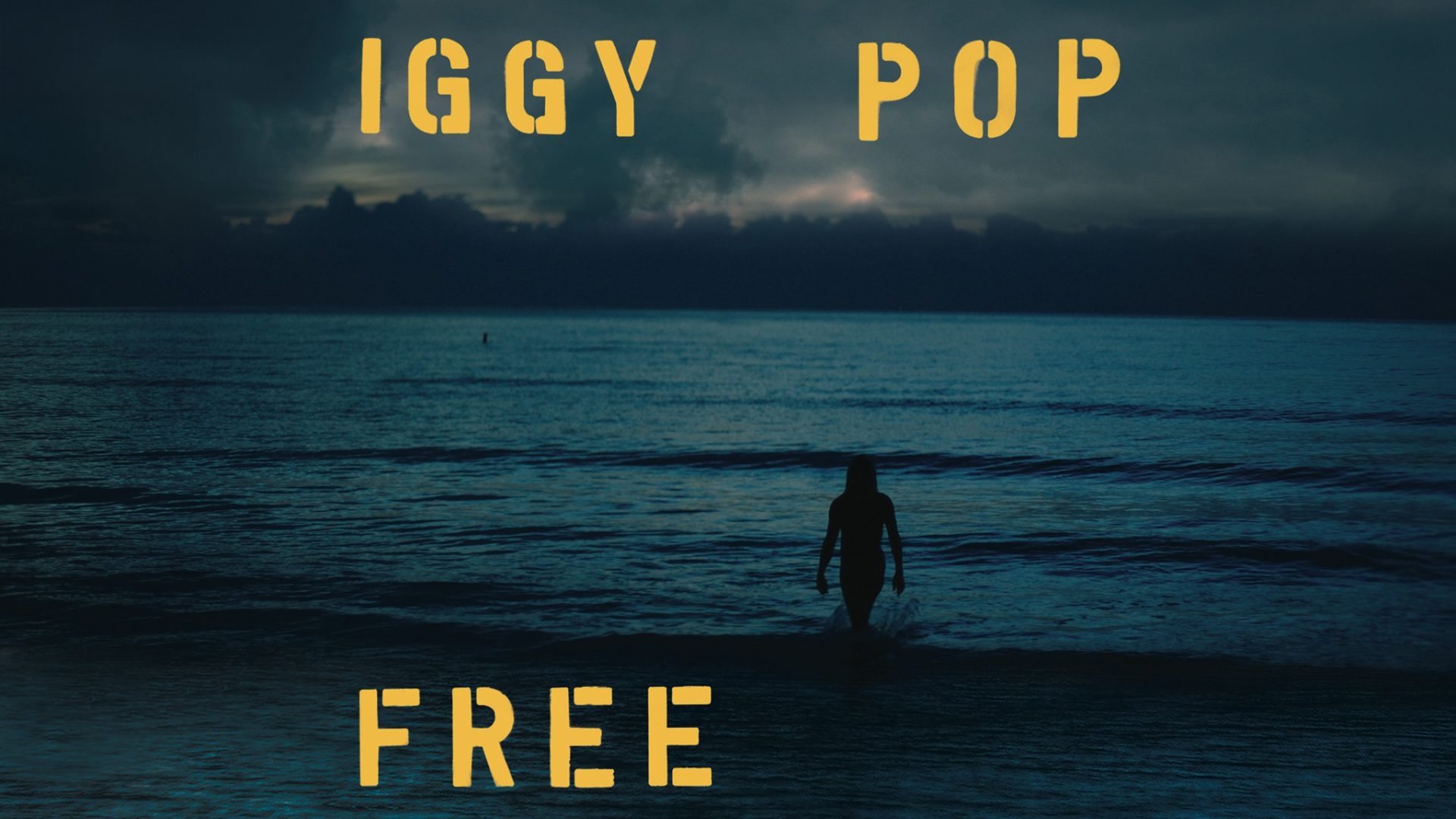 iggy pop wallpapers 0045