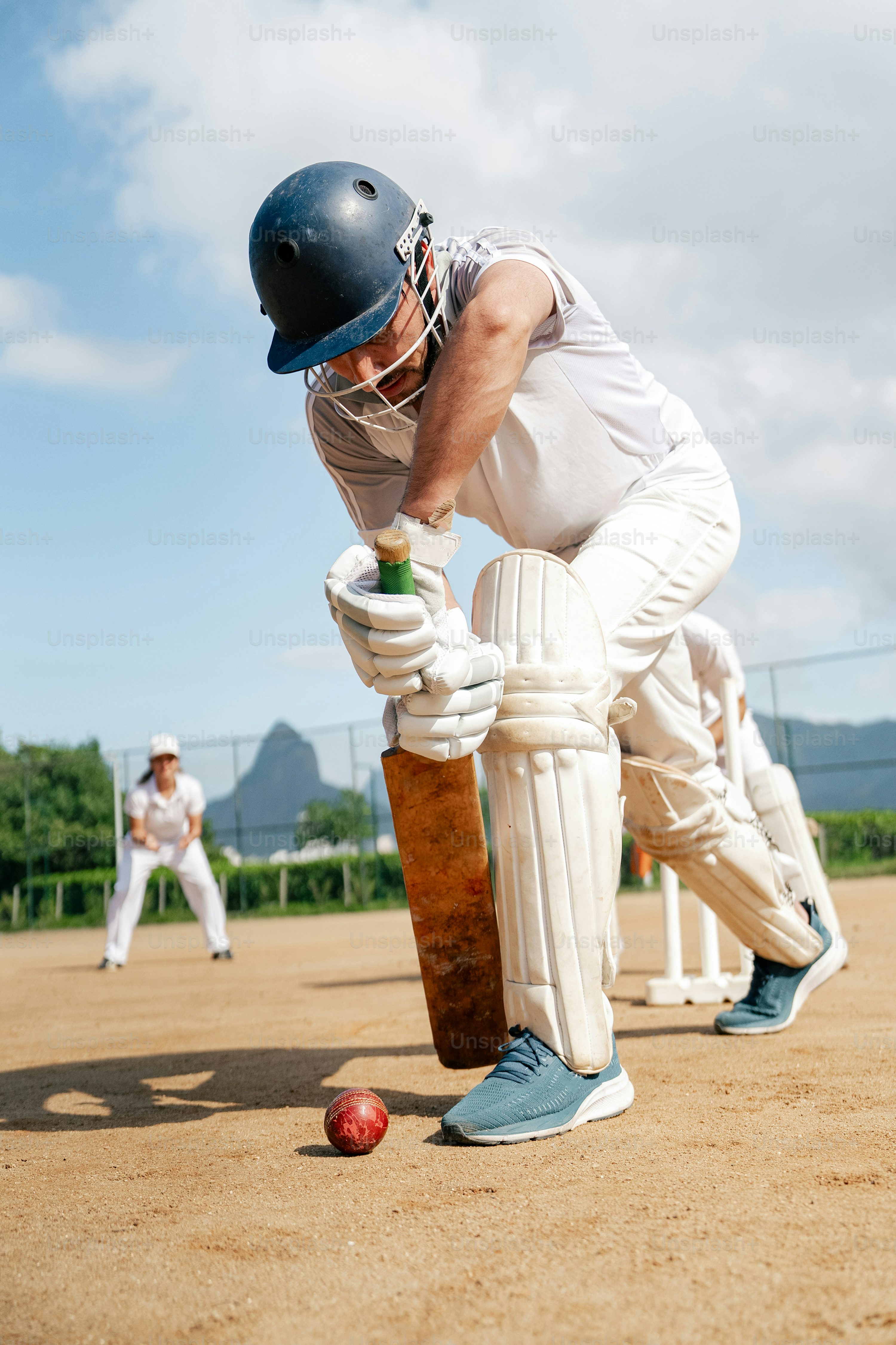 image of a cricket