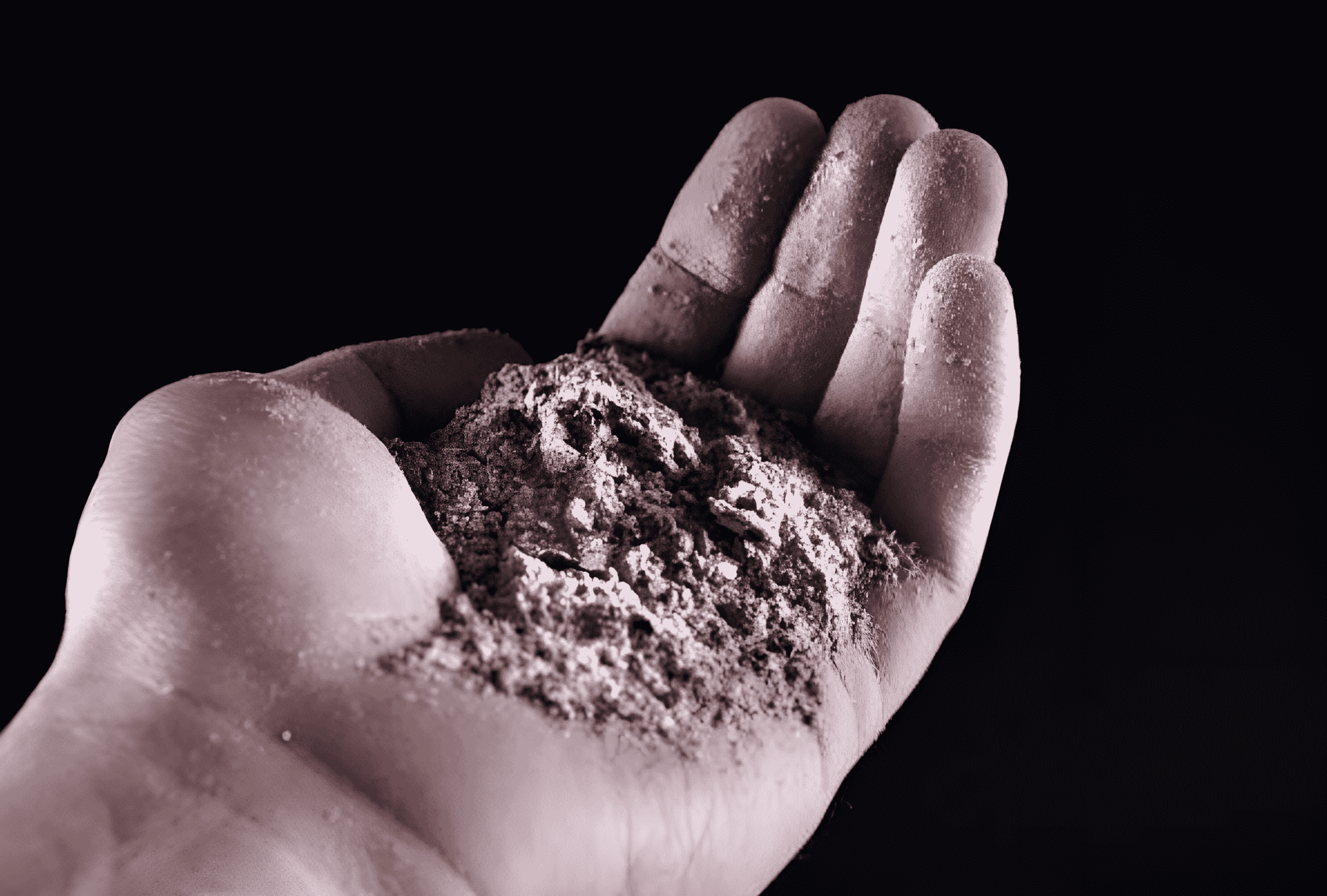 images of ashes