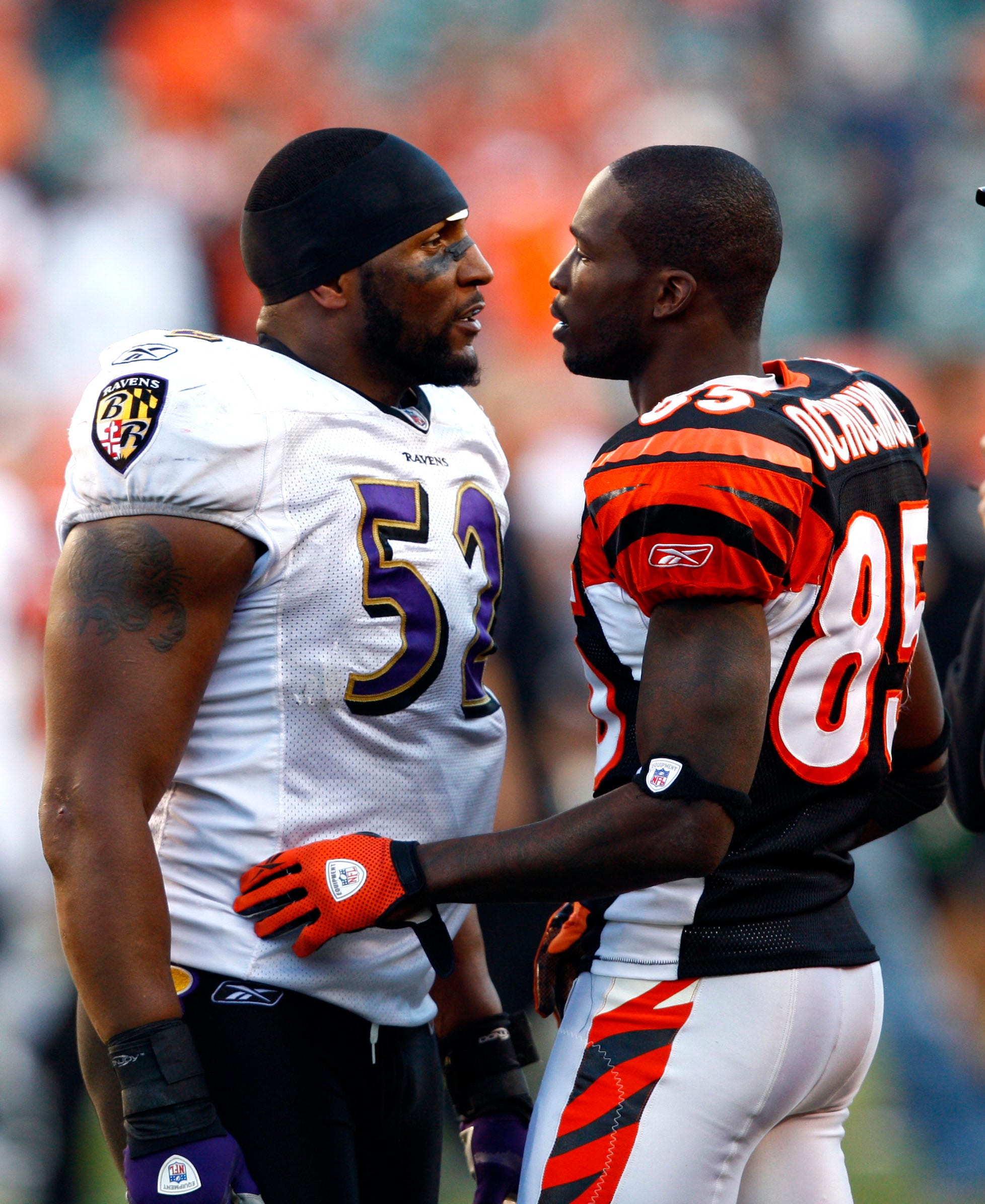 images of ray lewis 0046