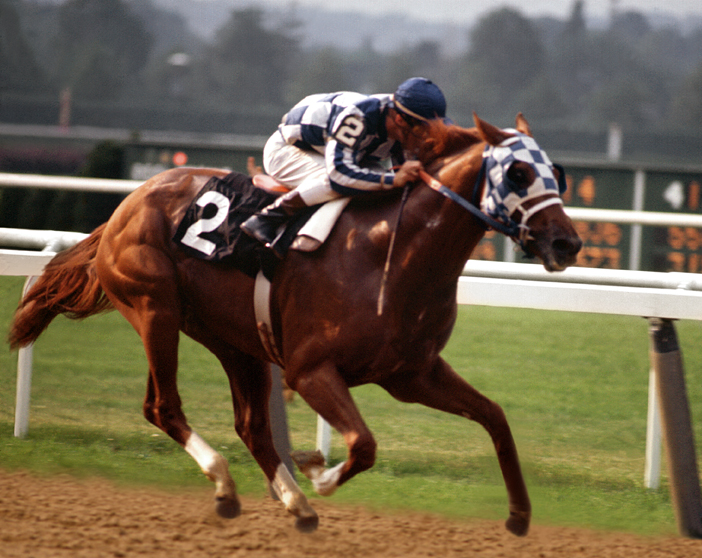 images of secretariat 0010