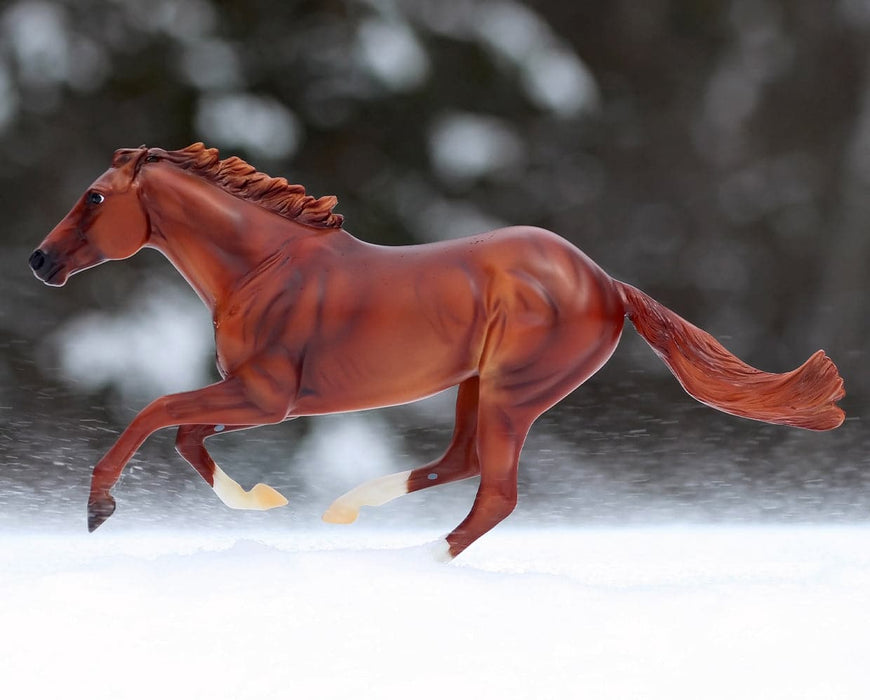 images of secretariat 0013
