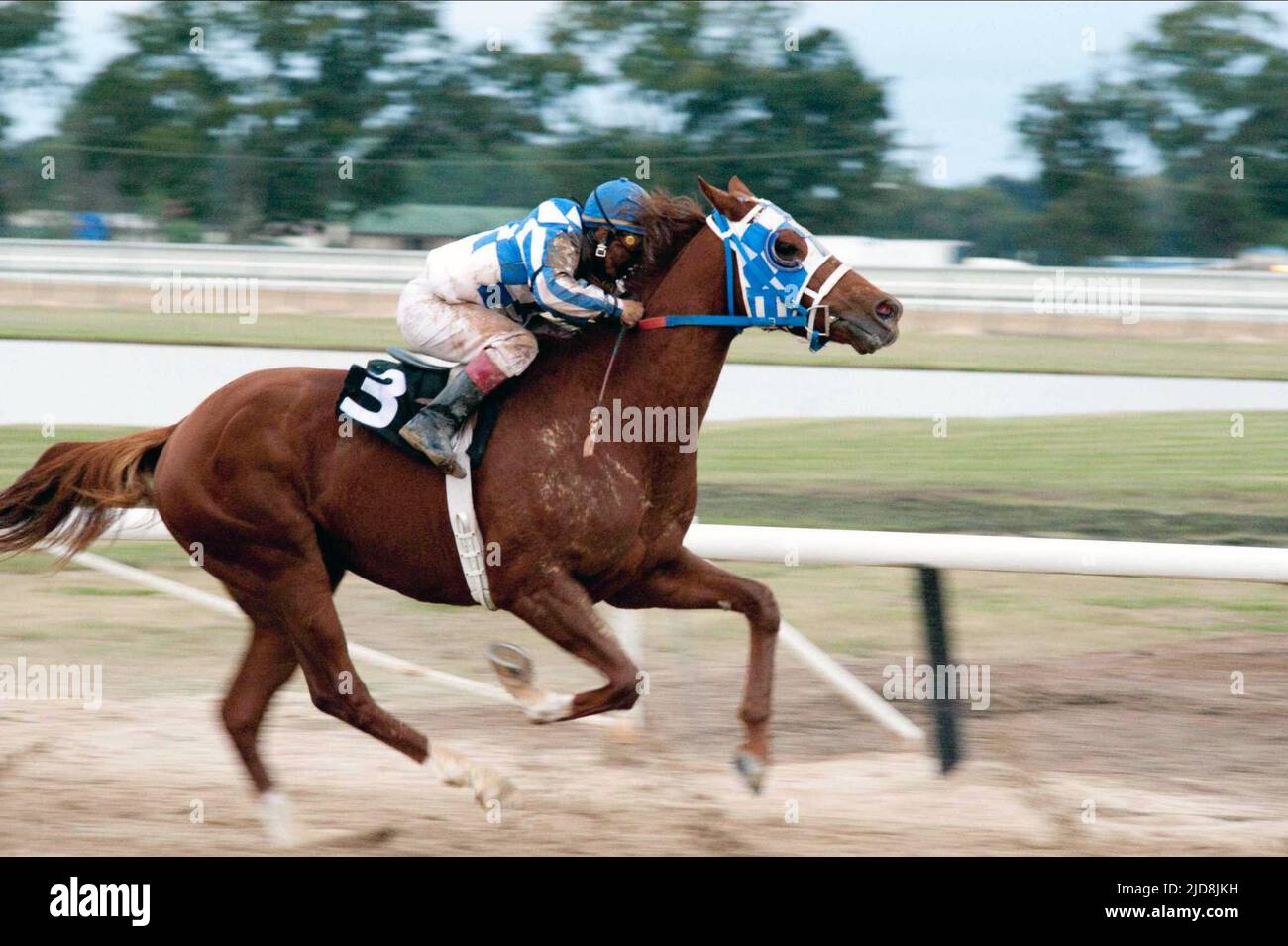 images of secretariat 0015