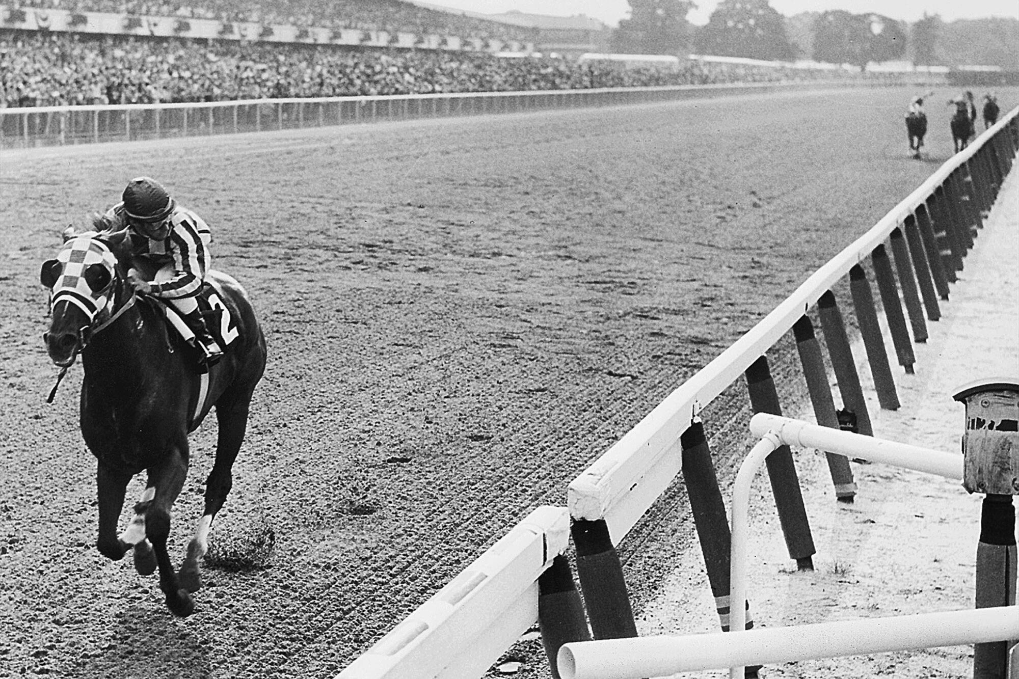 images of secretariat 0022