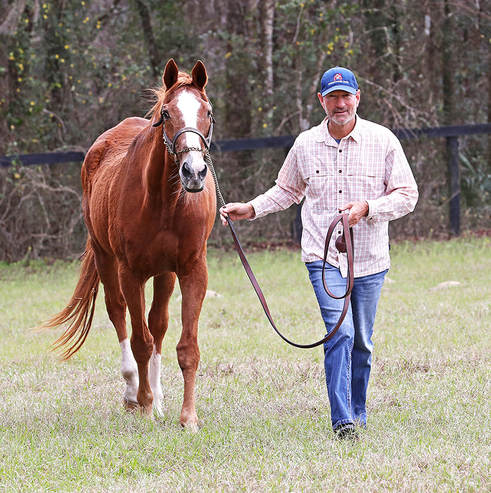 images of secretariat 0024