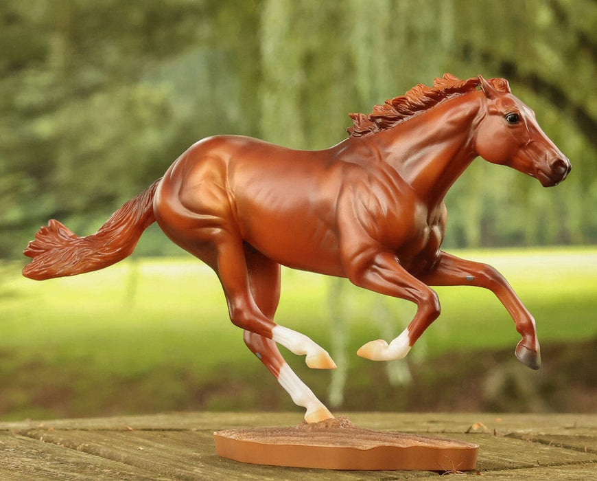 images of secretariat 0025