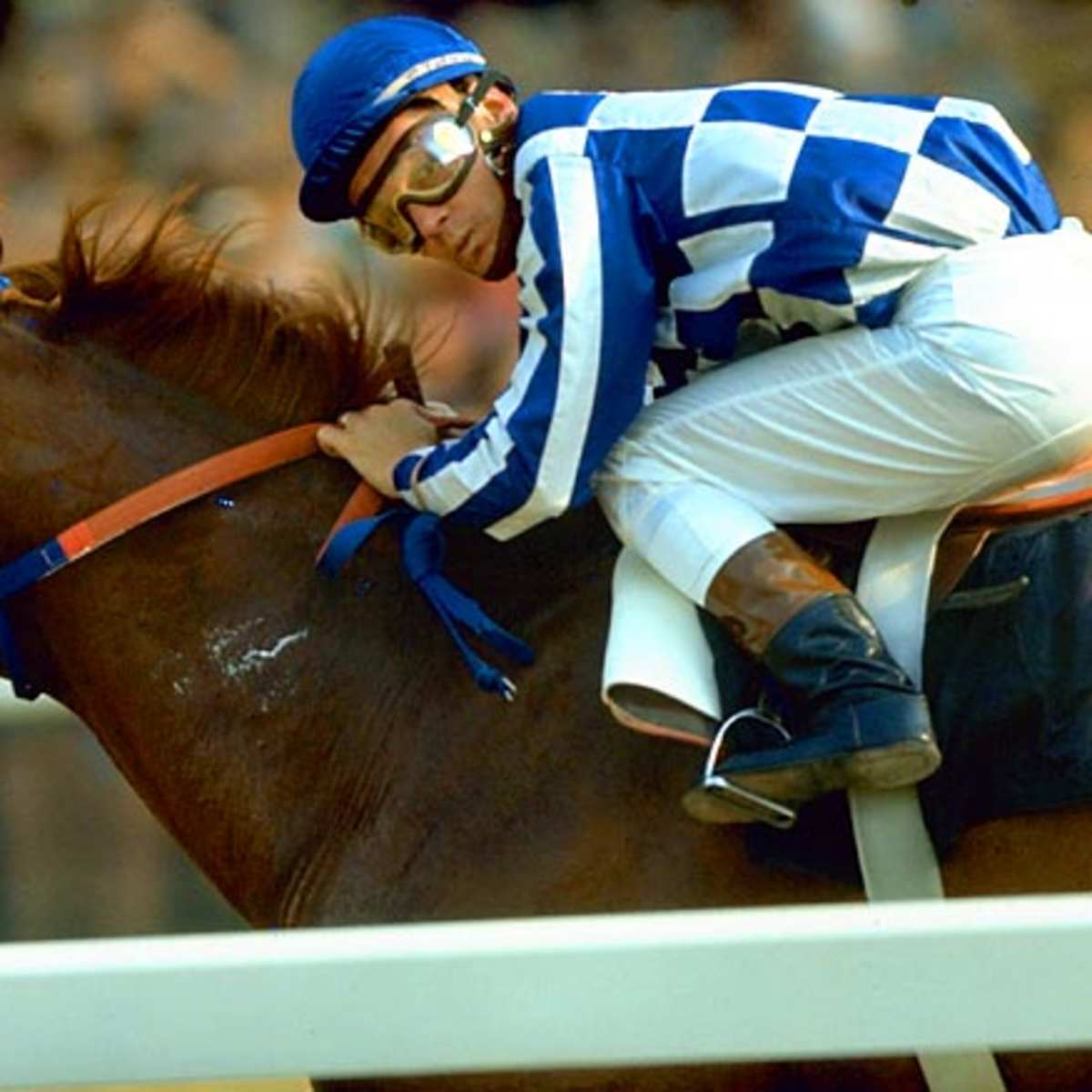 images of secretariat 0029