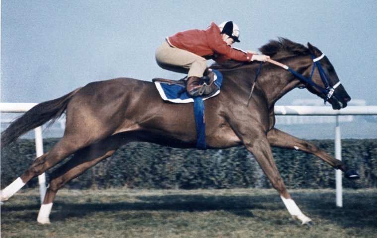 images of secretariat 0032