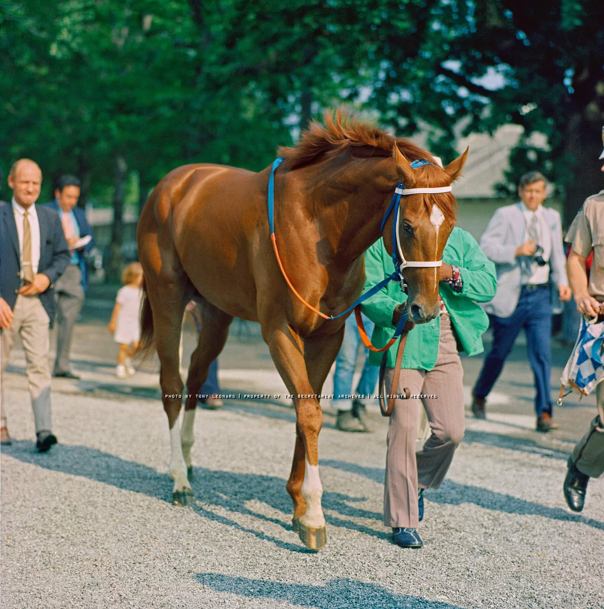 images of secretariat 0033