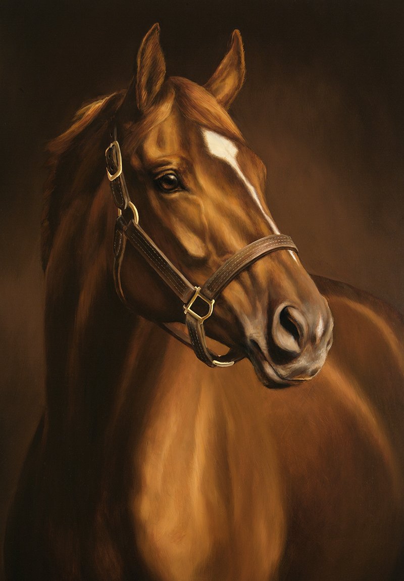 images of secretariat 0041