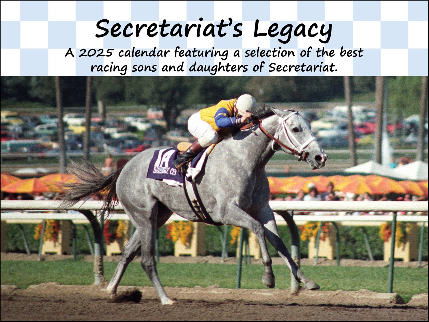 images of secretariat 0042