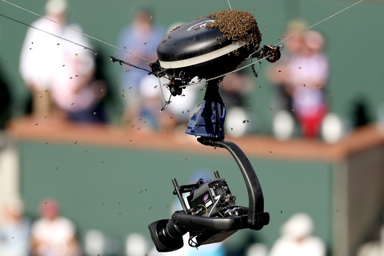 indian wells tennis garden photos 0042
