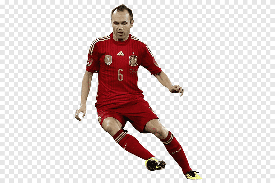 iniesta 2010 world cup 0061