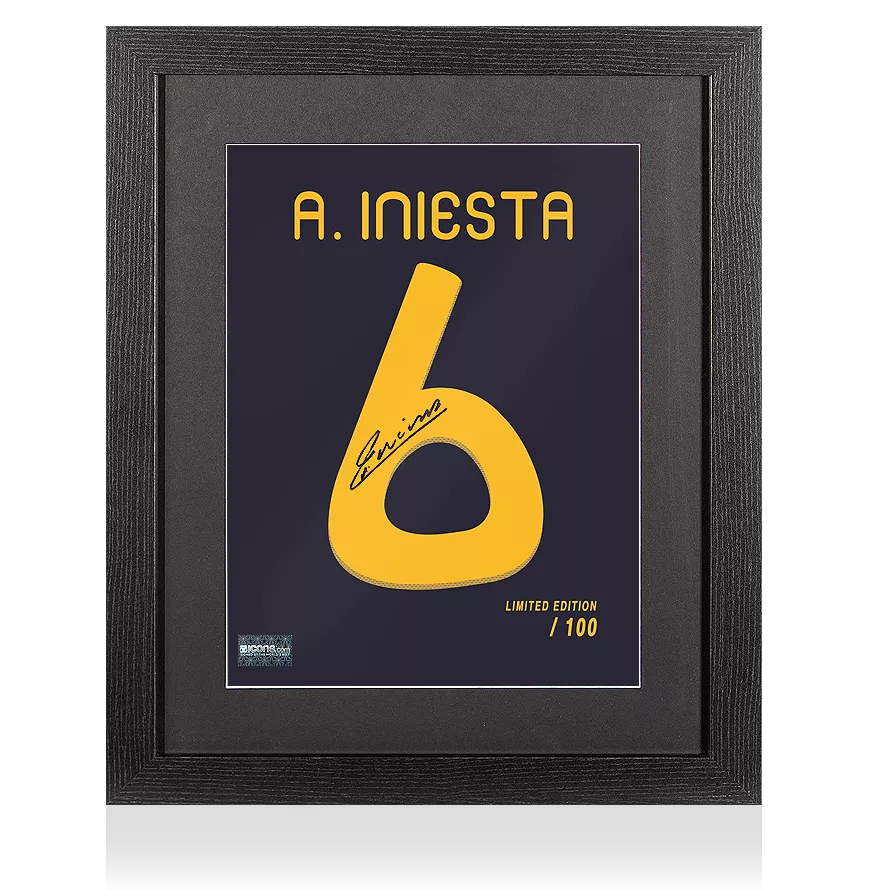 iniesta 2010 world cup 0076