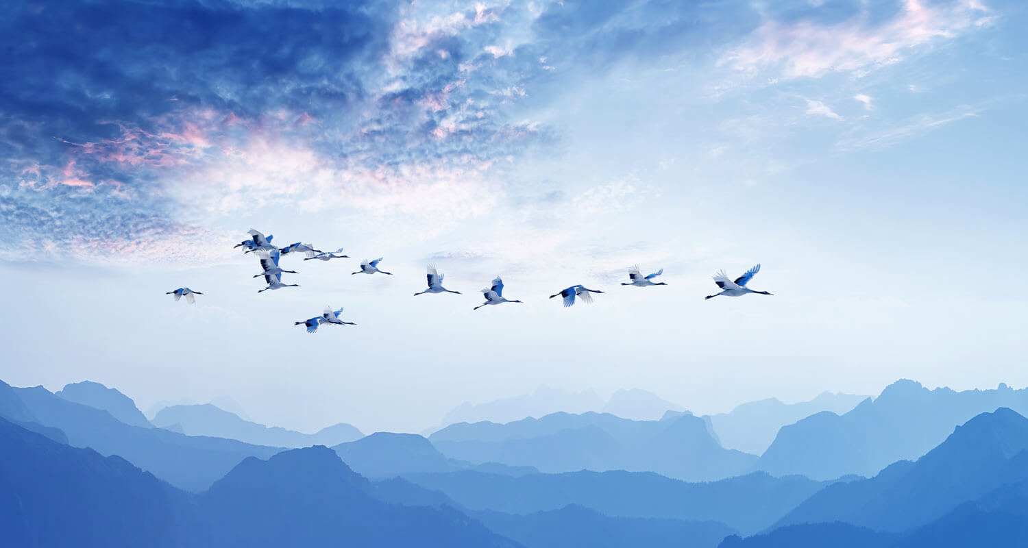 inspirational photos 0031