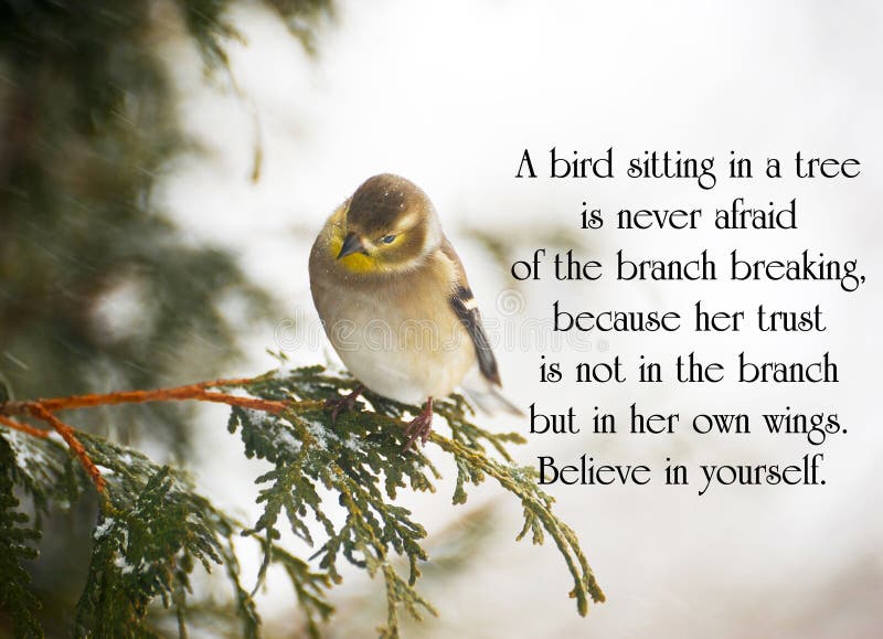 inspirational photos 0047