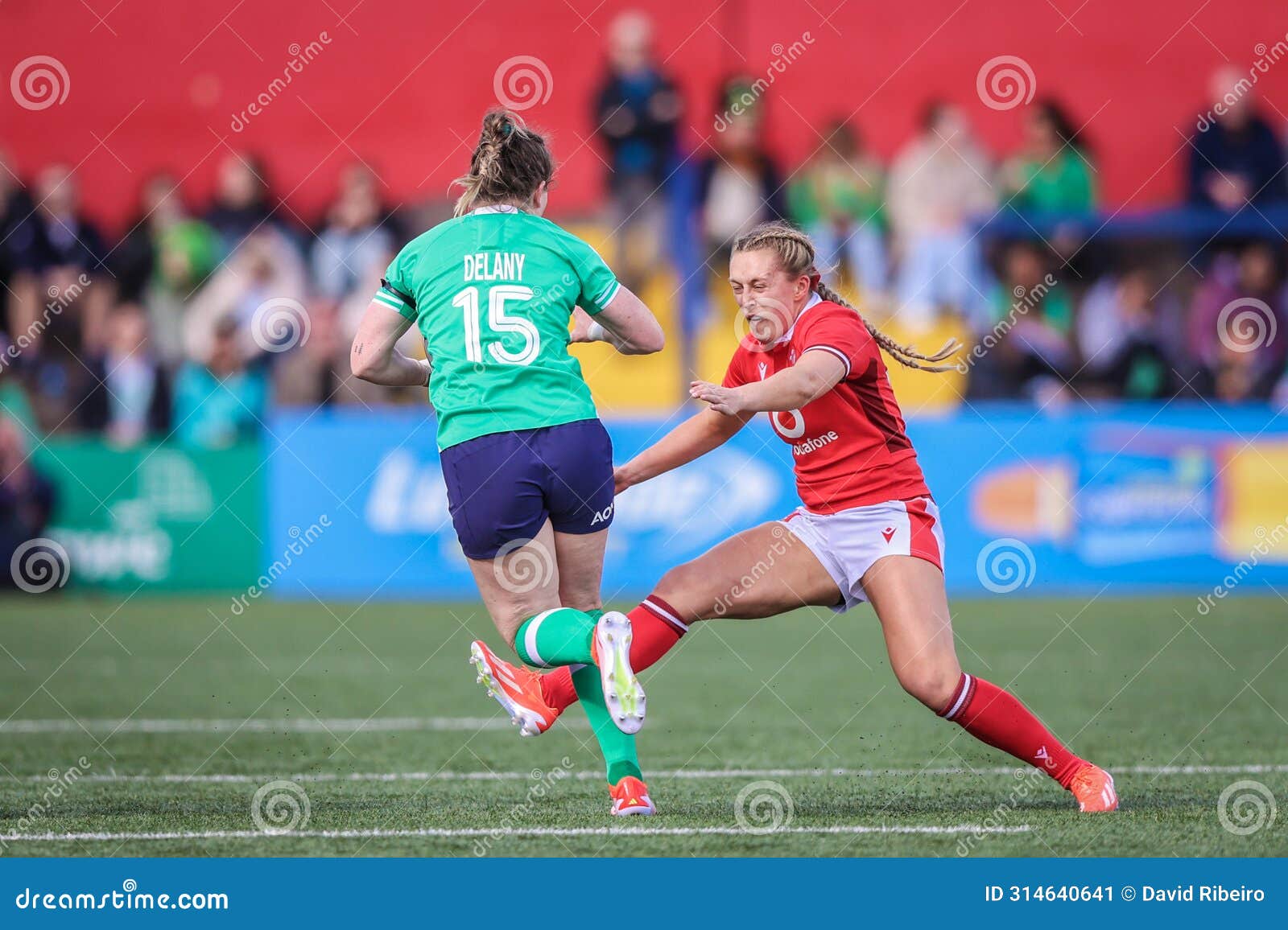 ireland v wales 2024 0018