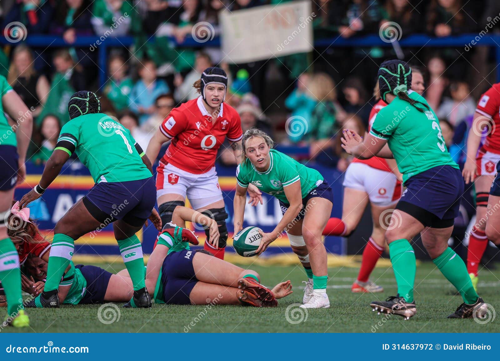 ireland v wales 2024 0021