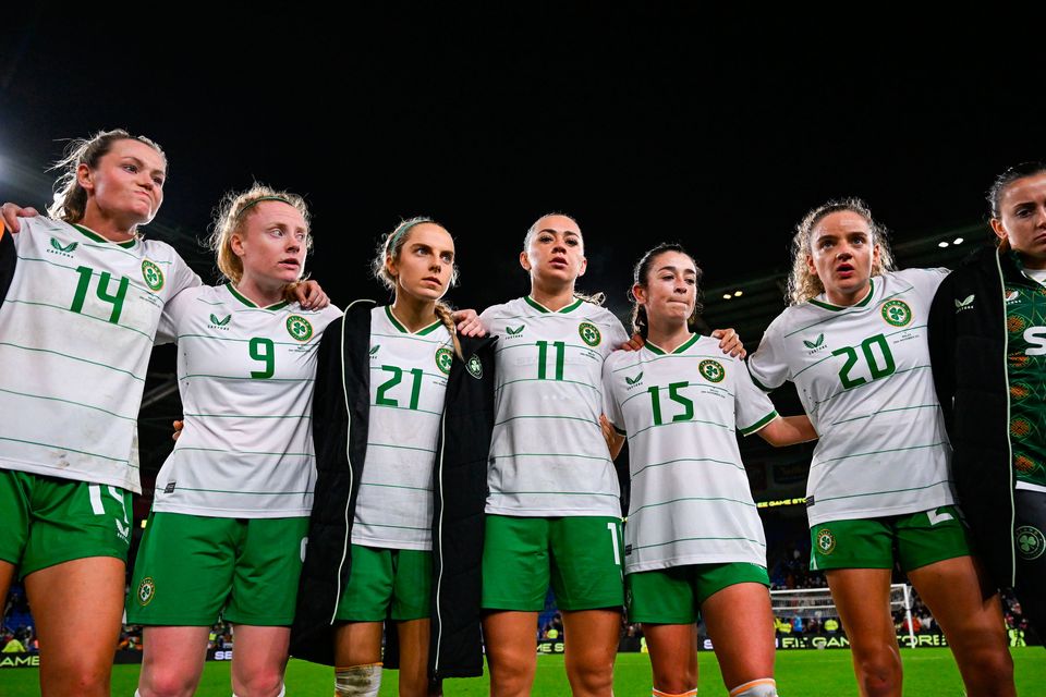 Ireland Wales match highlights