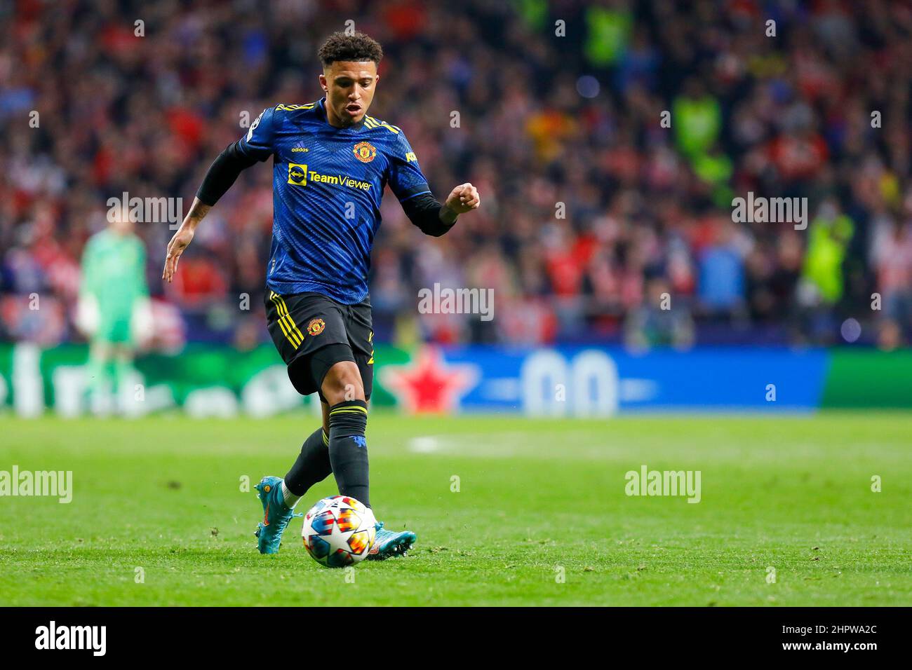 Jadon Sancho photo 0088