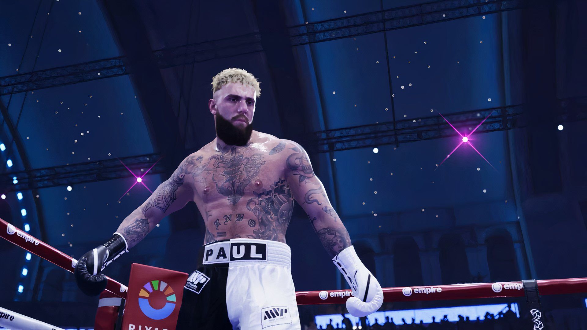 jake paul wallpaper boxing 0012