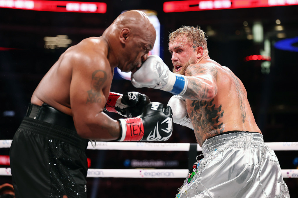 jake paul wallpaper boxing 0013