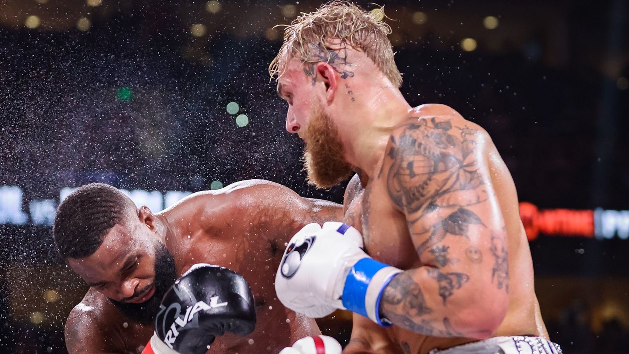 jake paul wallpaper boxing 0019