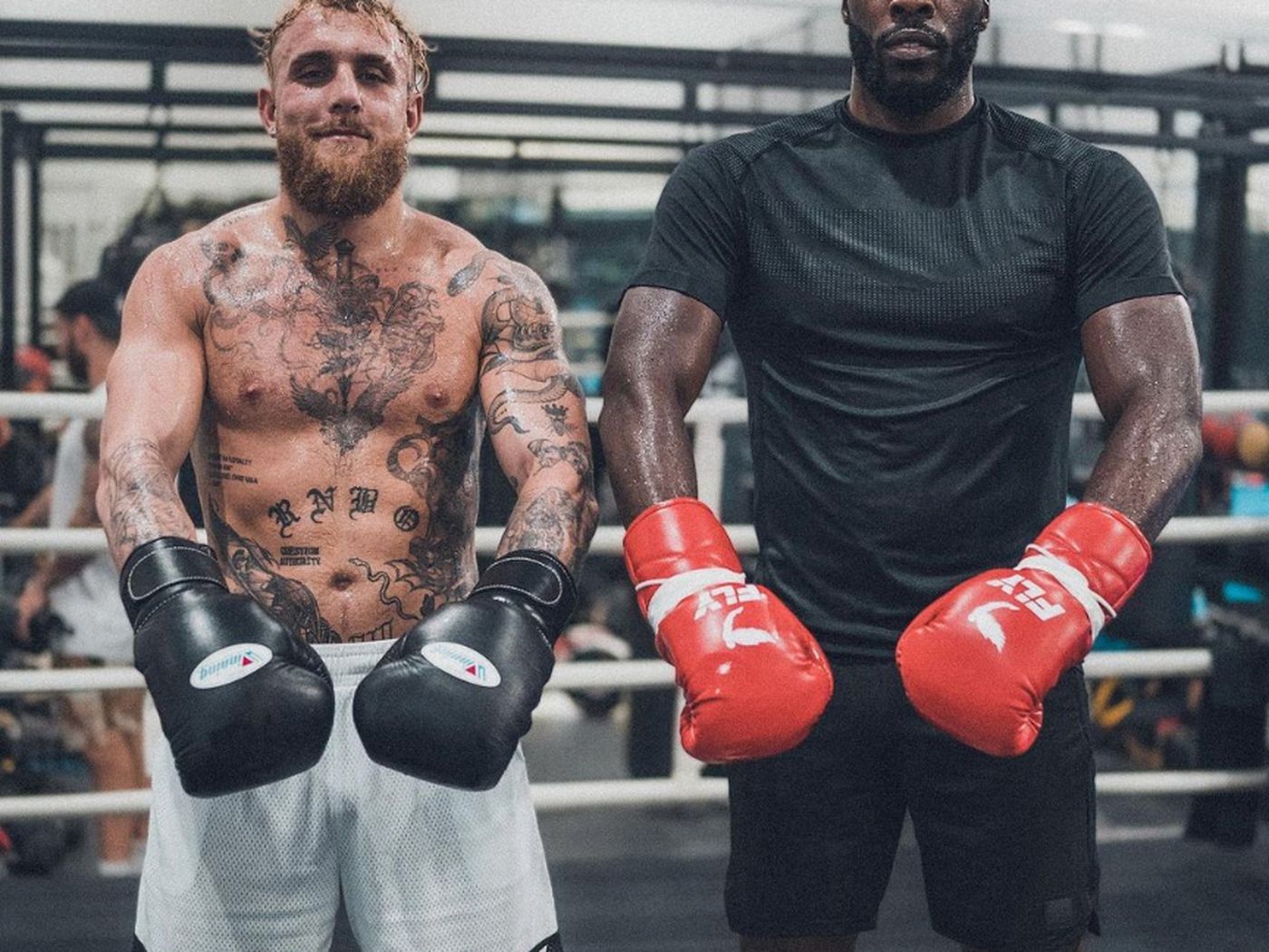 jake paul wallpaper boxing 0022
