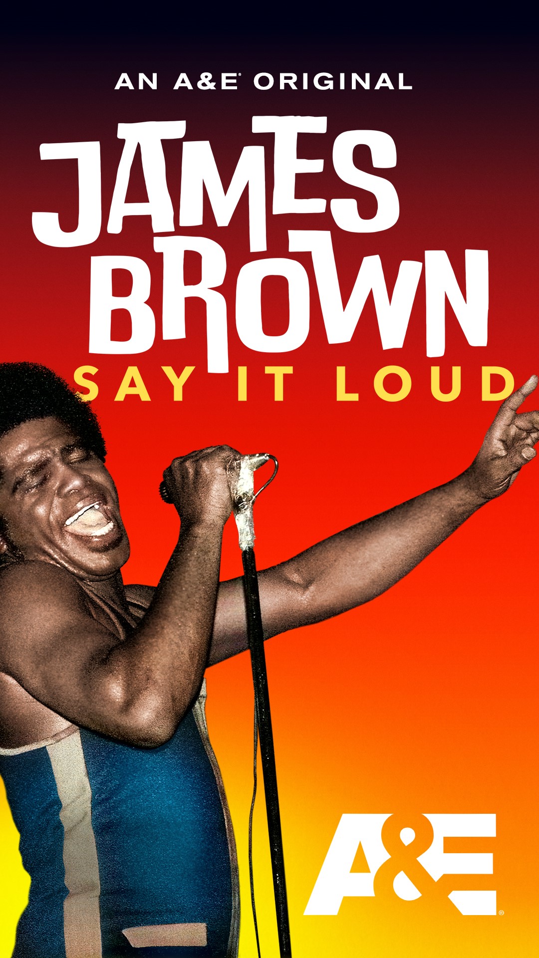 james brown poster 0016
