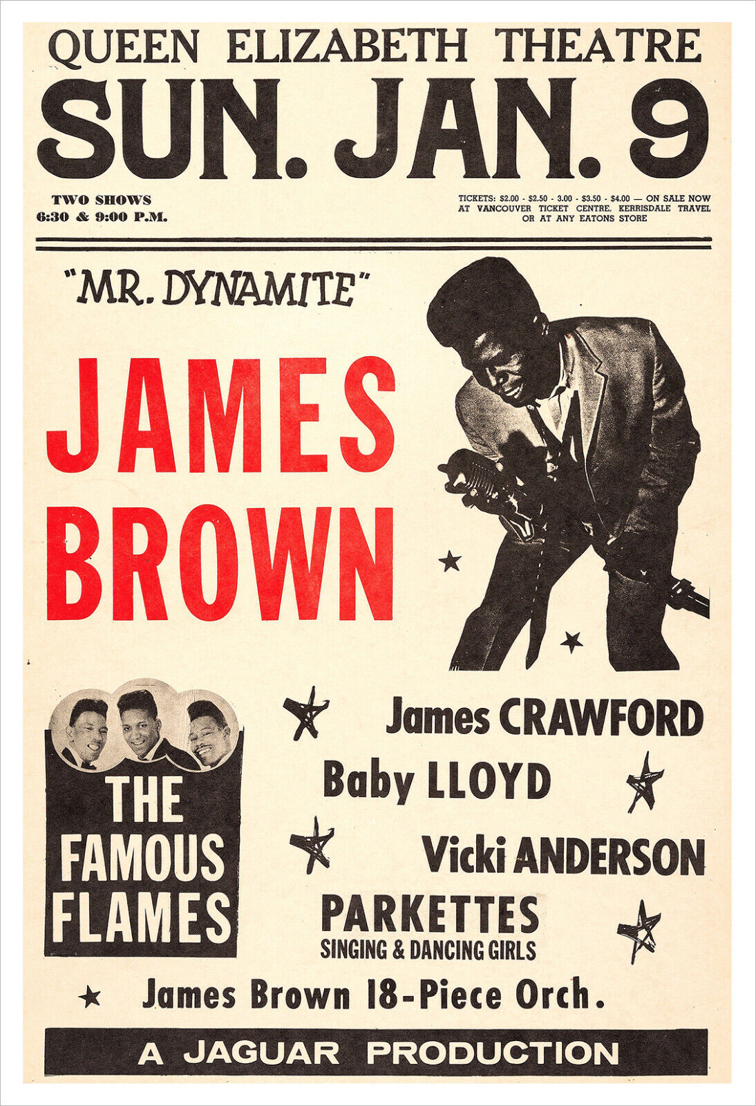 james brown vinyl poster