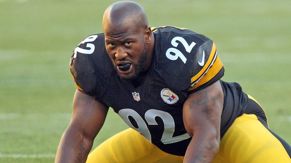 james harrison 100 yard interception 0015