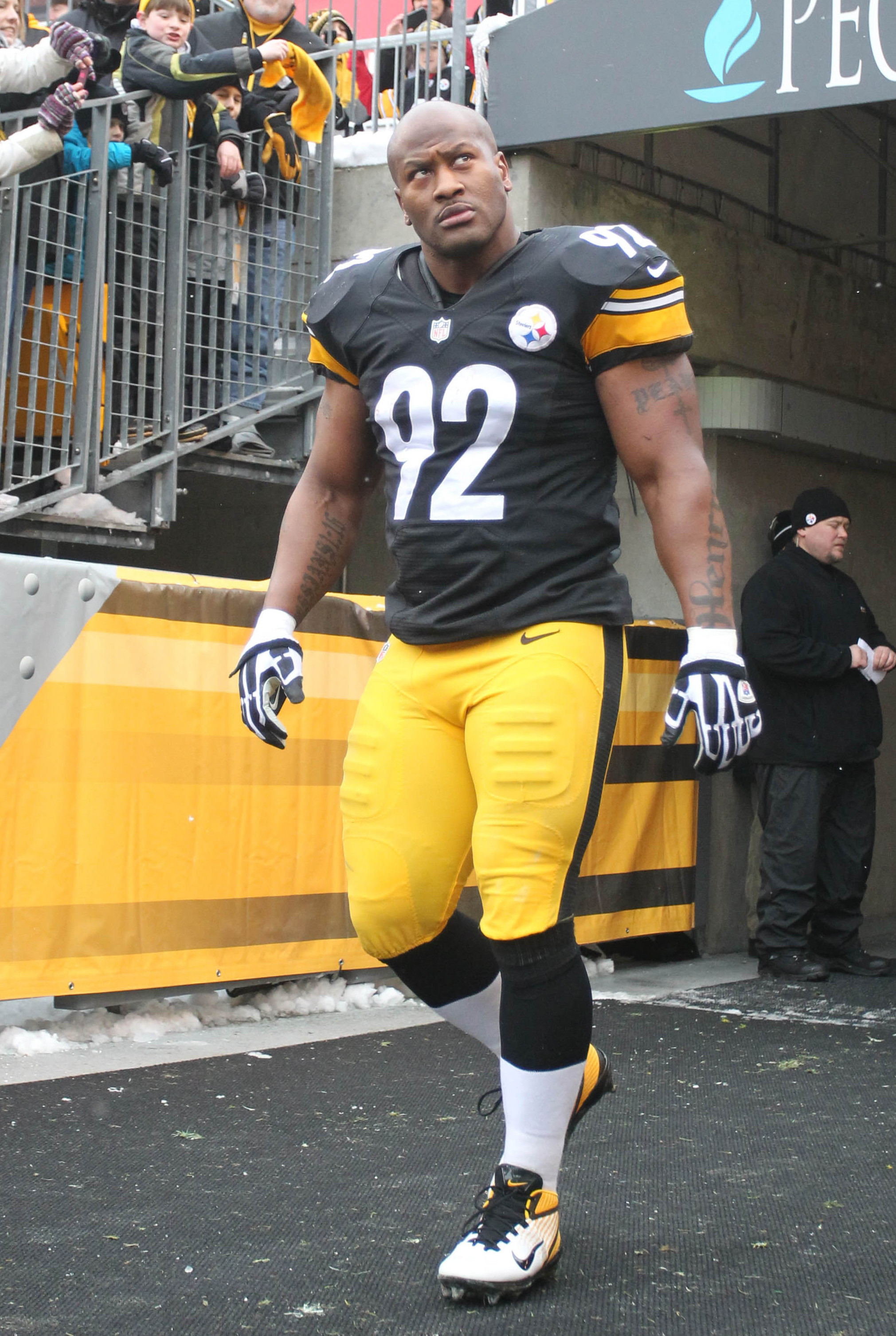 james harrison 100 yard interception 0018
