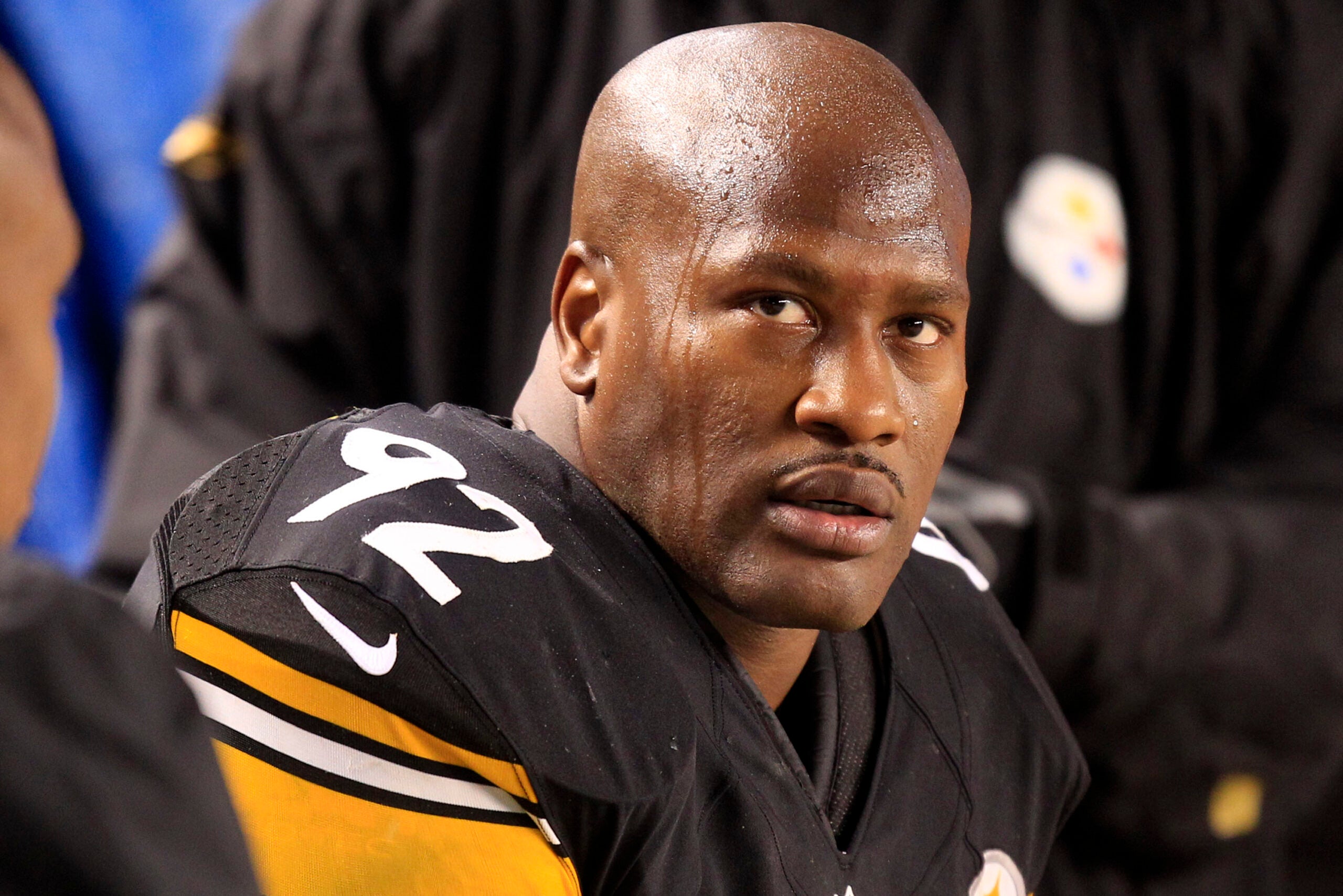 james harrison 100 yard interception 0024