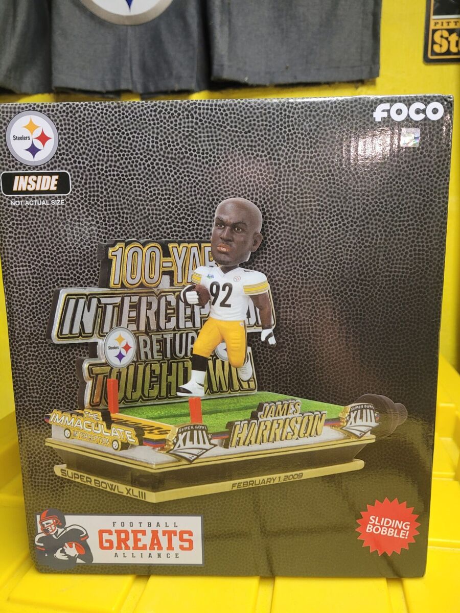 james harrison 100 yard interception 0027