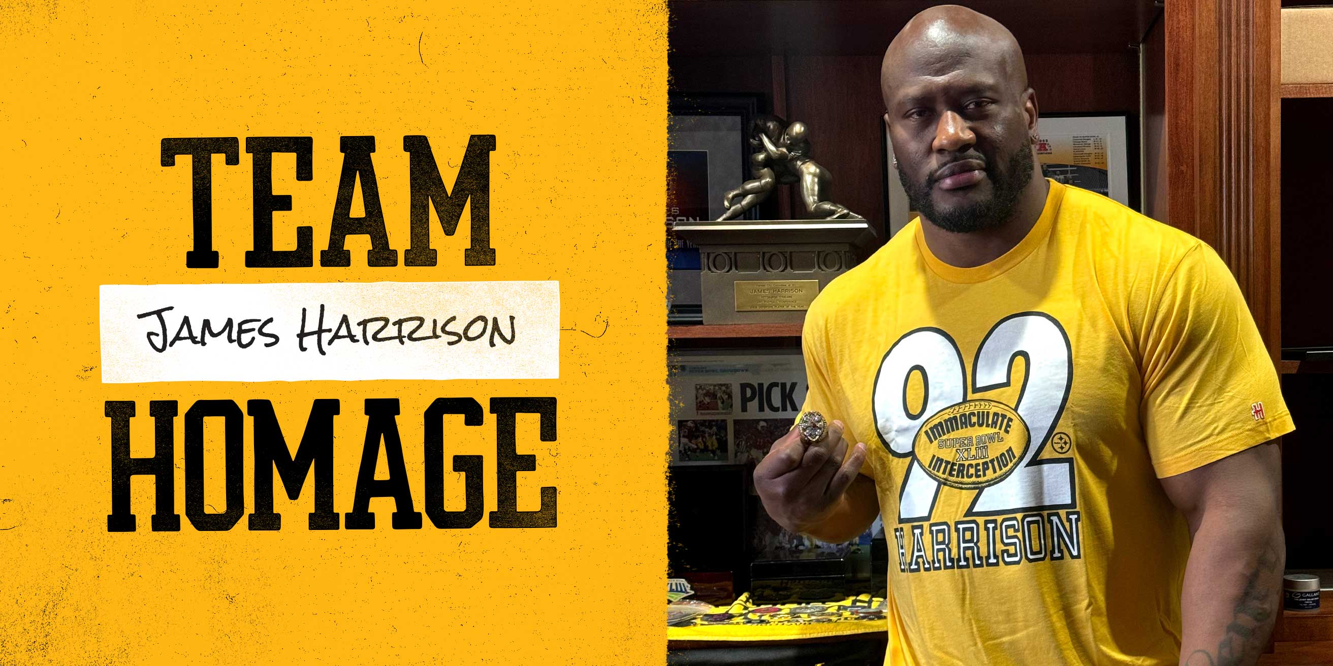 james harrison 100 yard interception 0028