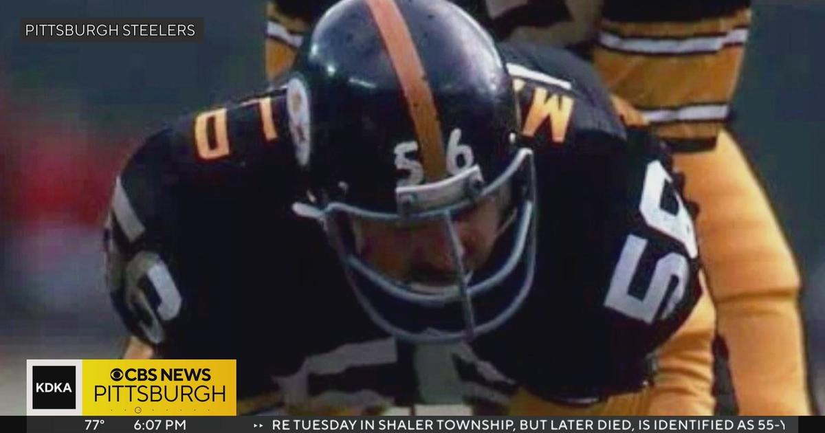 james harrison 100 yard interception 0034