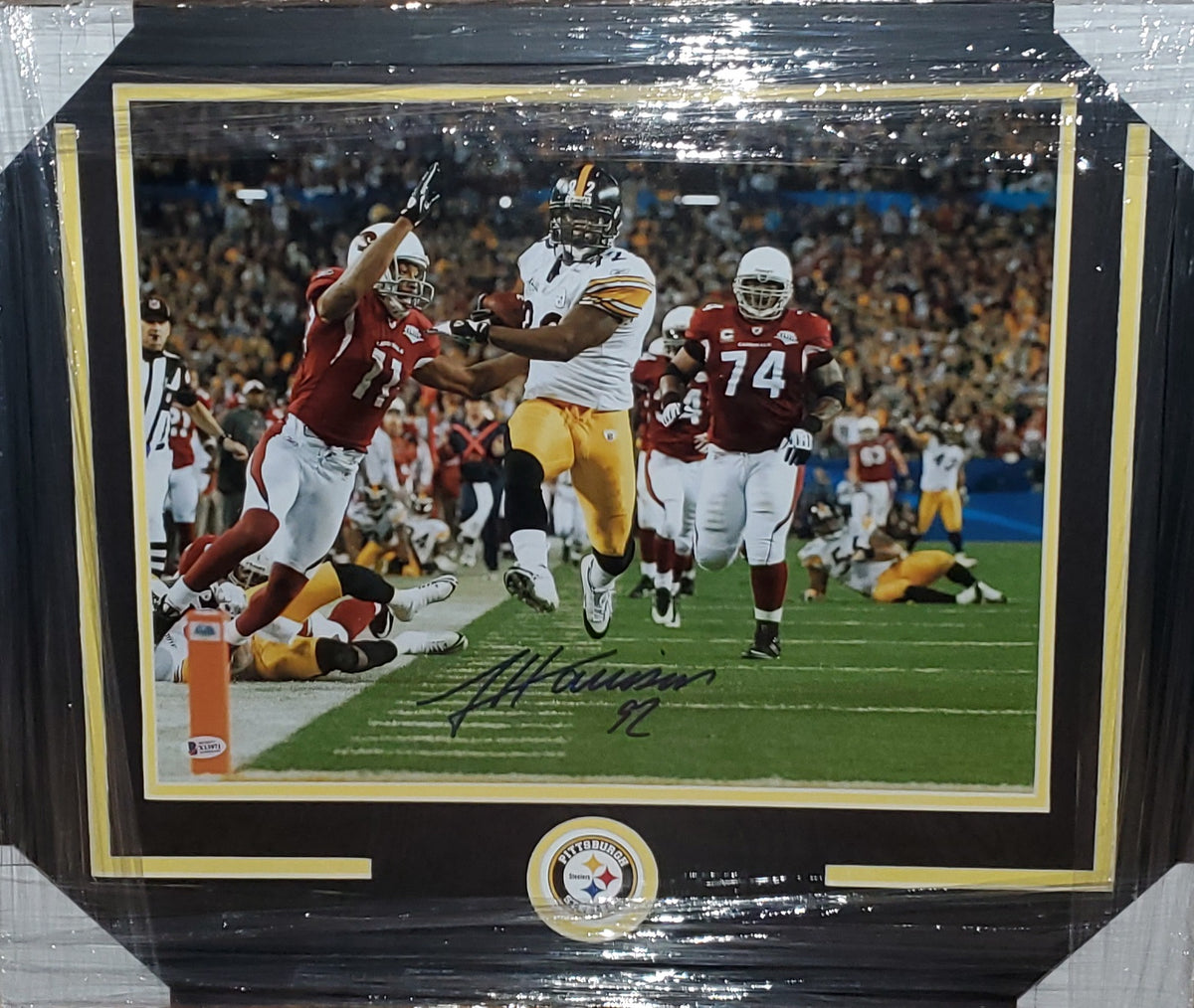 james harrison 100 yard interception 0036