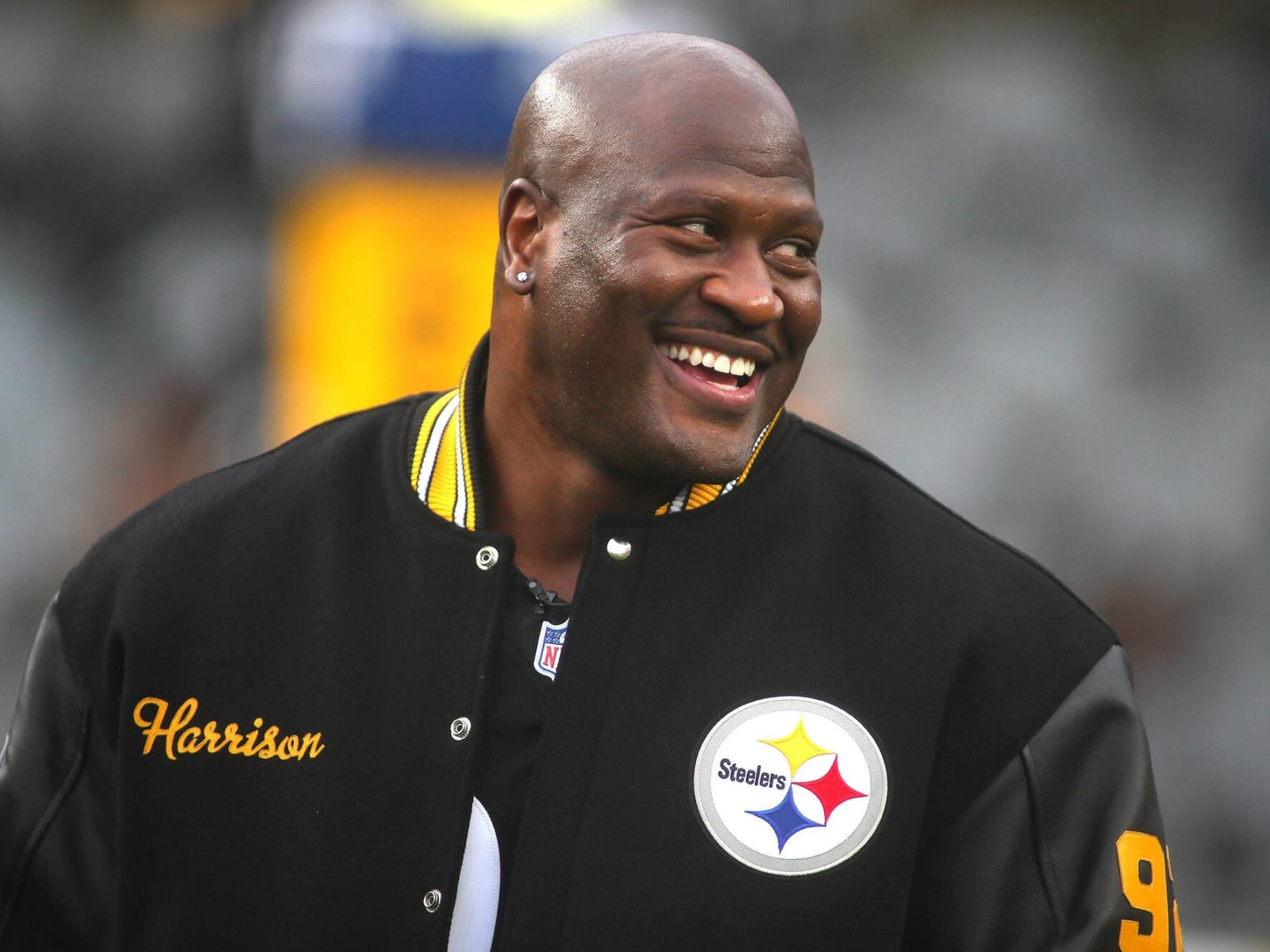 james harrison 100 yard interception 0037
