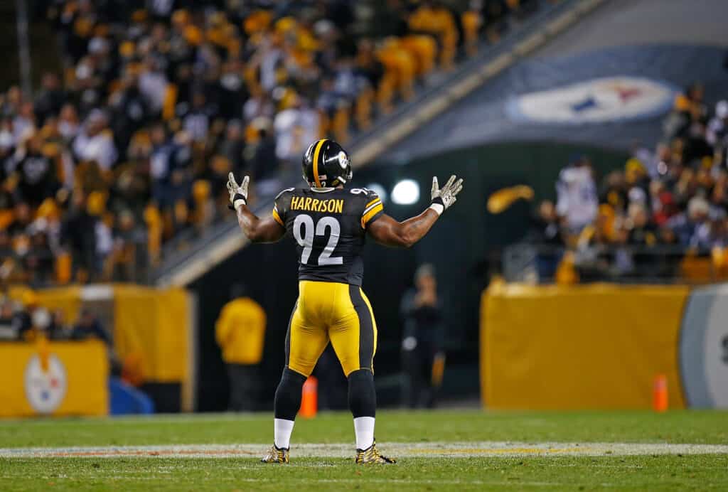 james harrison 100 yard interception 0042