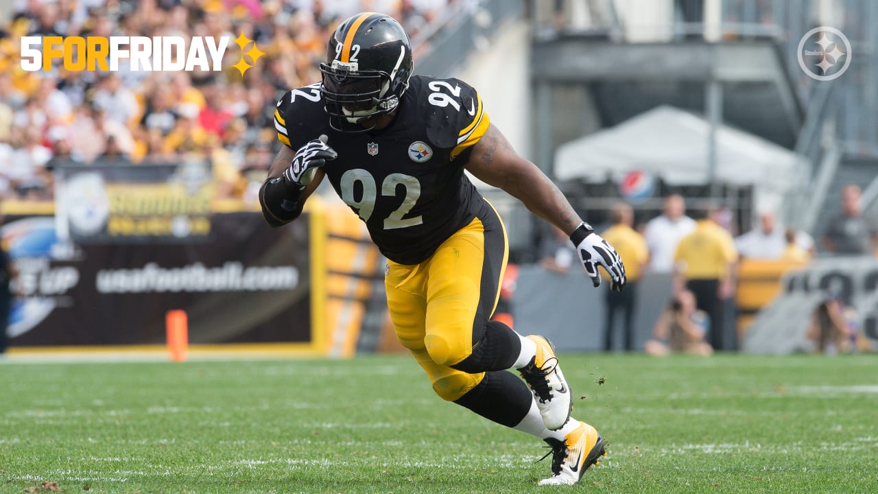 james harrison 100 yard interception 0045