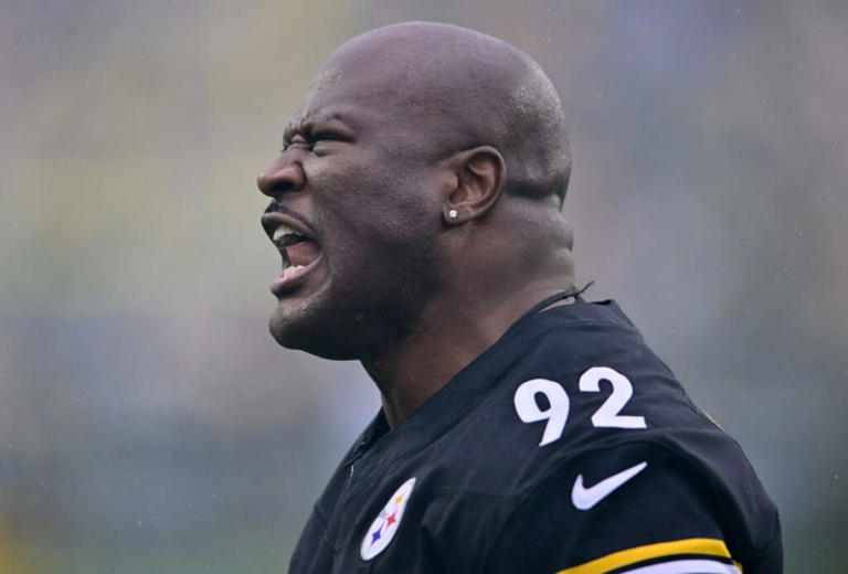 james harrison 100 yard interception 0048