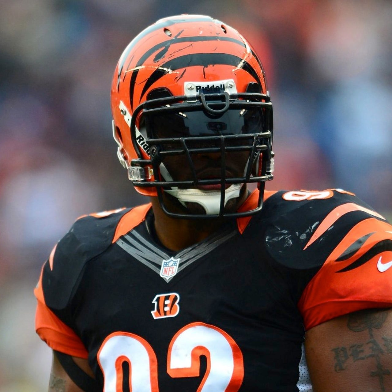 james harrison 100 yard interception 0049