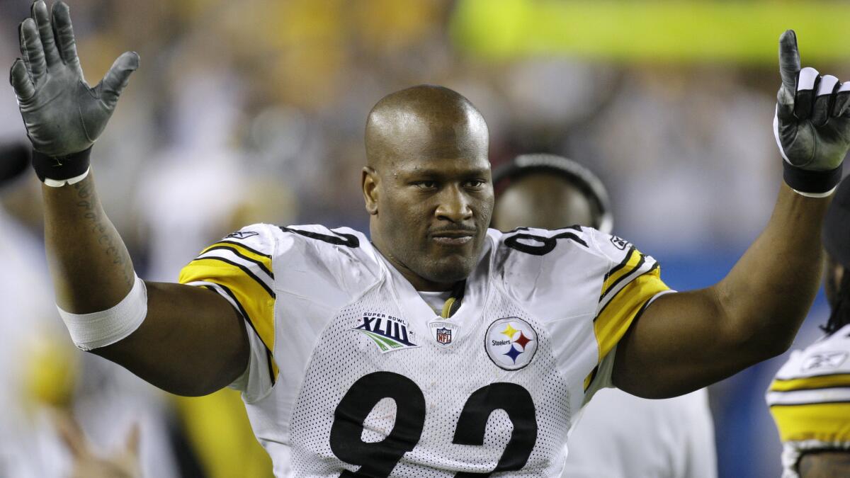 james harrison interception 0026