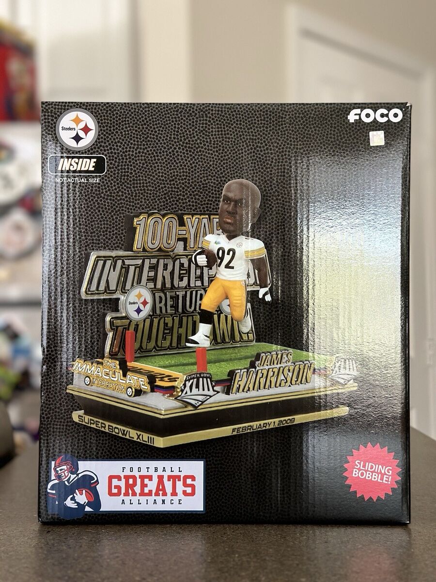 james harrison interception 0027