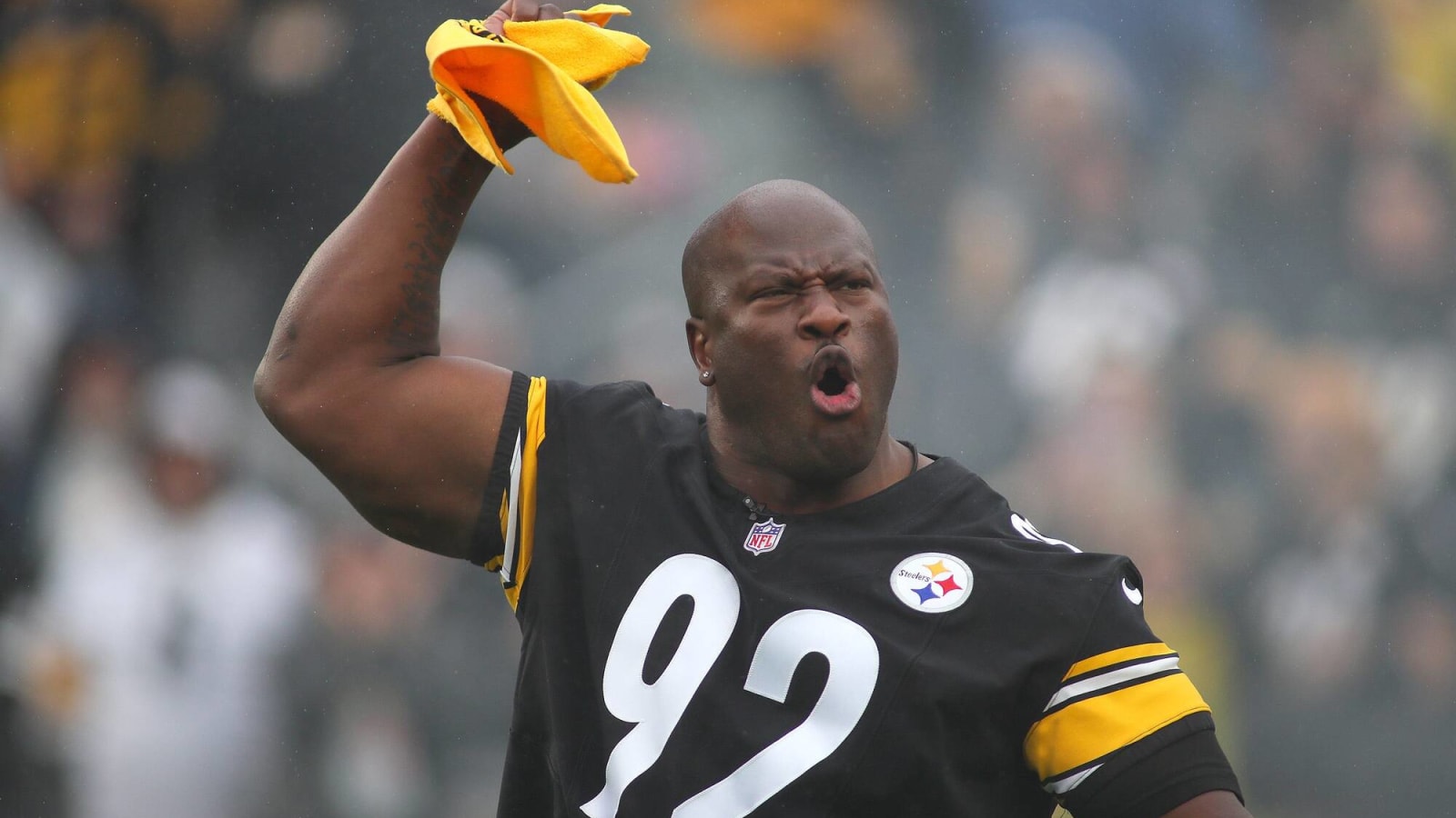 james harrison interception 0034