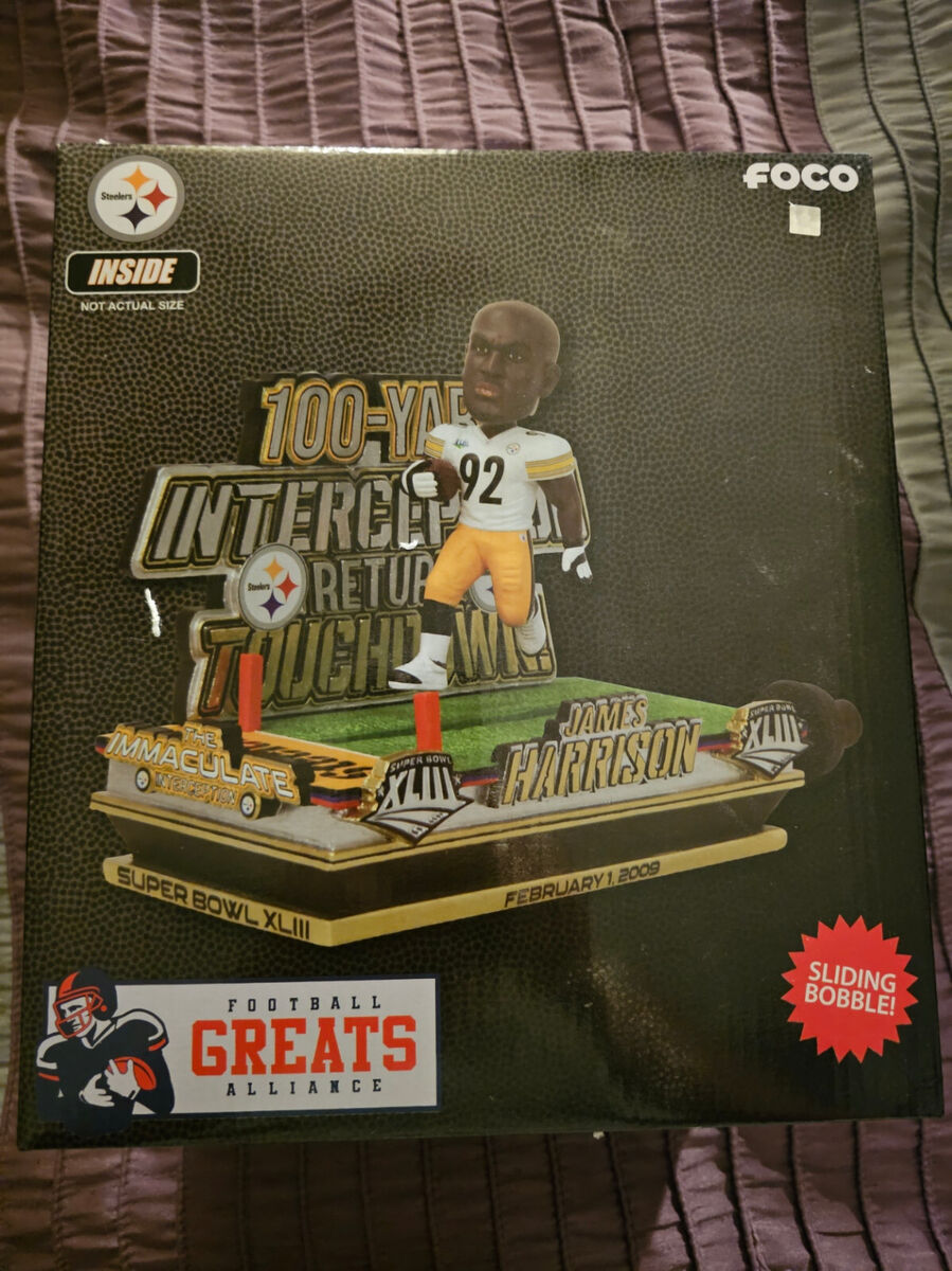 james harrison interception 0035