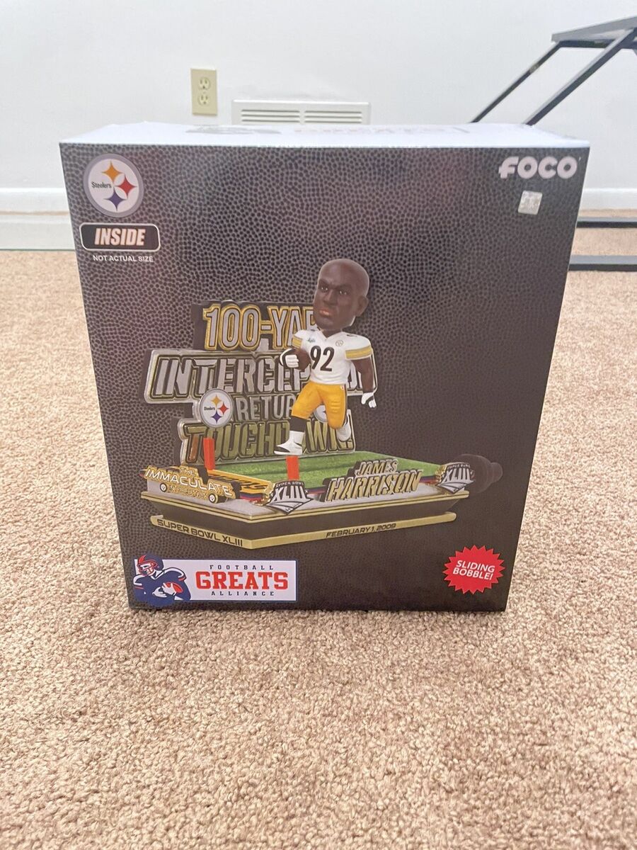 james harrison interception 0040