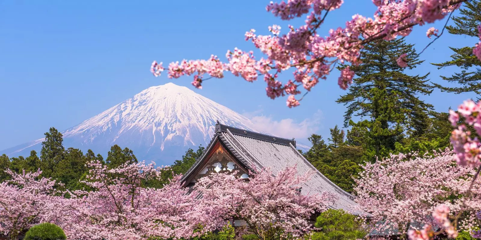 japan header 0009