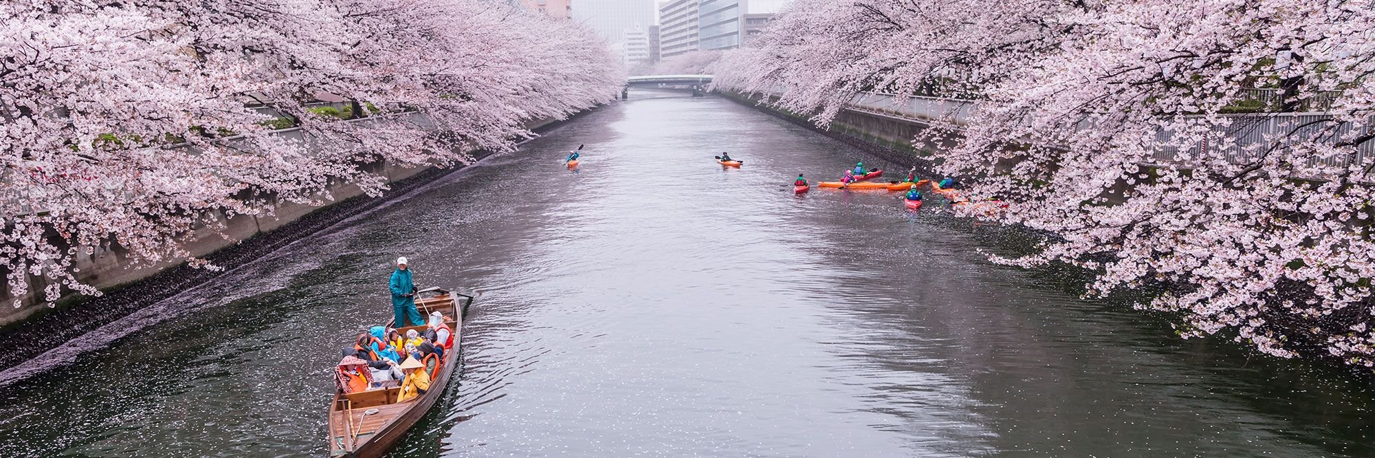 japan header 0012
