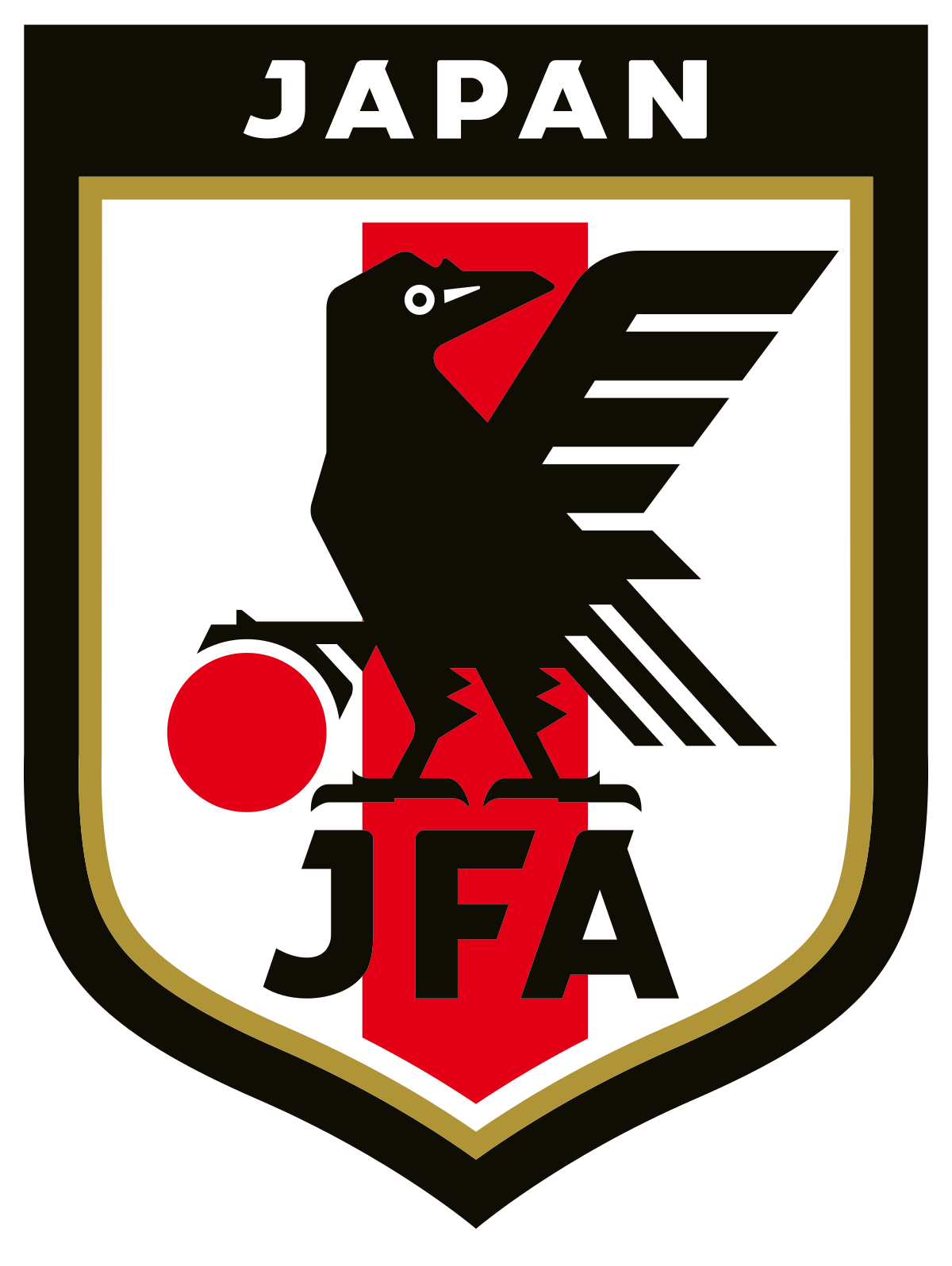 Japan international matches